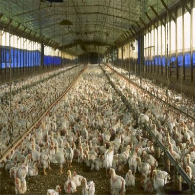 Struttura in acciaio prefabbricata professionale