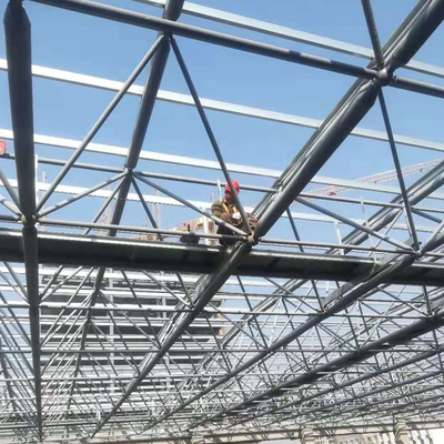 Struttura in acciaio con facile installazione e pacchetto in acciaio