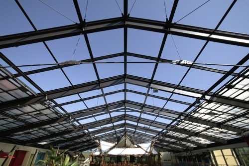 Lanterne sul tetto per giardini botanici massimizzazione della luce naturale per la fiorente vita vegetale