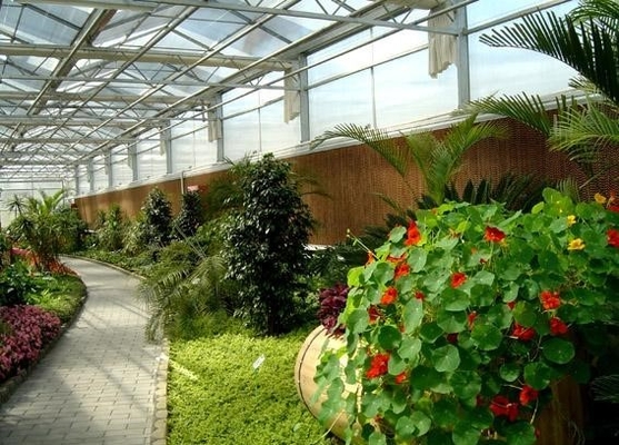 Lanterne sul tetto per giardini botanici massimizzazione della luce naturale per la fiorente vita vegetale