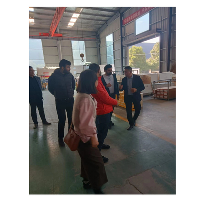 Visita di fabbrica di un sistema di pareti a tenda di vetro o di un sistema di pareti a tenda in alluminio
