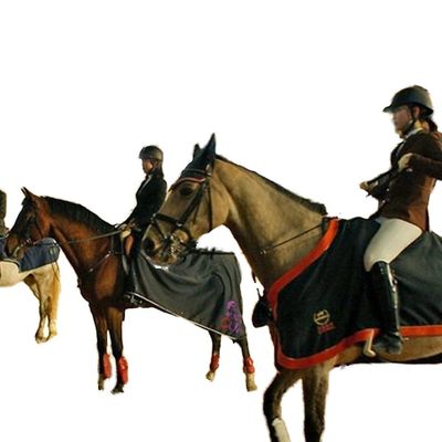 Edificio di struttura in acciaio leggero per l'arena di equitazione interna