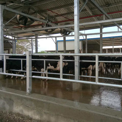 Struttura in acciaio prefabbricata professionale