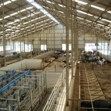 Capannone Avicolo in Acciaio Personalizzato con Installazione Rapida