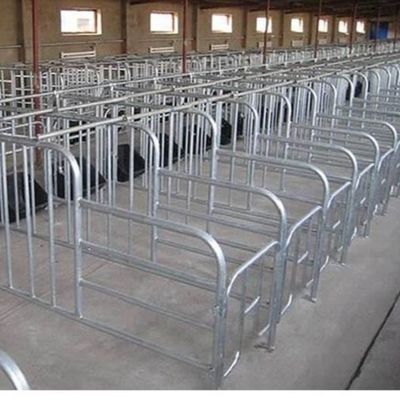 Capannone Avicolo in Acciaio Personalizzato con Installazione Rapida